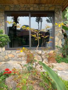 Trang An Peaceful Homestay