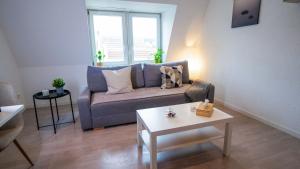 # Le 4 # Très beau appartement T3 Neuf, tout confort, Mulhouse centre ville