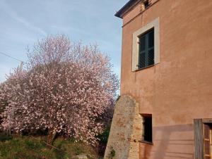 Casale Costa dei Trabocchi
