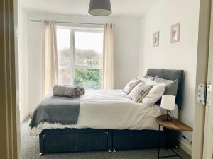 Simple 2-bedroom 1.5 bath apartment in Thornhill