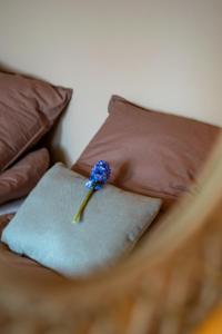 Mosters Bed & Breakfast