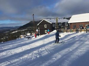 Björnrike Vemdalen utsikt över Sonfjället