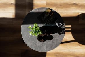 Green Park Resort A25 -z dostępem do basenu, sauny, jacuzzi, siłowni