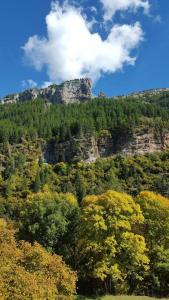 Appartements GITE RUPICAPRA MERCANTOUR : photos des chambres