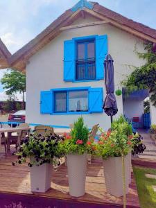 Pensiunea Casa Varvara