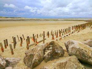 Appartements Maison proche des immenses plages de Berck sur Mer a 1,8km des plages : Appartement 2 Chambres