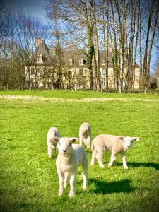 Maisons d'hotes O saisons, o chateaux : Chambre Double avec Salle de Bains Privative