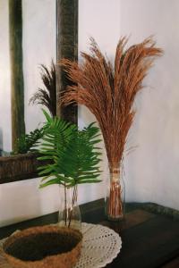 Praia do Rosa Kaora Cabanas