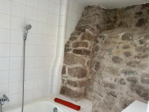 Maisons de vacances Le Moulin de Prades 4 etoiles logement entier Parc Naturel Haut Languedoc - Salagou : photos des chambres