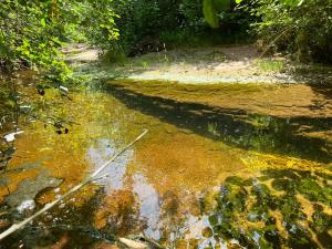 Maisons de vacances Le Moulin de Prades 4 etoiles logement entier Parc Naturel Haut Languedoc - Salagou : photos des chambres