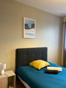 Appartements Le Voltaire -2 chambres- 70m2- HYPERCENTRE-Parking-WIFI FIBRE : photos des chambres