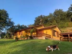 La Peñona, Carancos48, Nava - Torazo