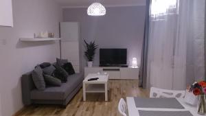 Apartmán 1 Bedroom City Center Apartment Katovice Polsko