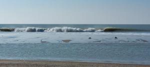 Appartements Detente a la mer : photos des chambres