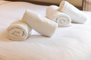 Blanket Cozy Apartments Central