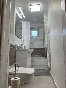 Premium Apartment Șagului