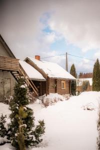 Viesu nams SAKNĪTES