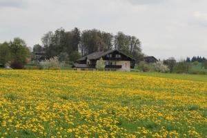 Kurparkpension Stephan