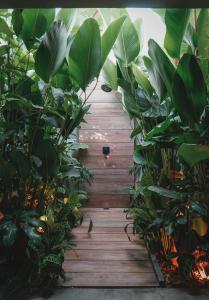Amanatu Ecolodge & Spa