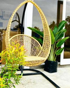 Canna Boutique Hostel