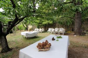 Appartements Gites Provence et Nature - sejours de reve entre Luberon et Monts de Vaucluse : Appartement Deluxe