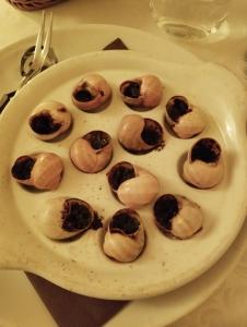 Dogs baronesse Pasja grofica Idrija 