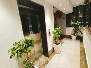 Aura Rooms