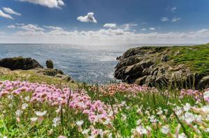 Maisons d'hotes Chambres d'Hotes Le Nid d'Iroise : Chambre Double - Vue sur Mer