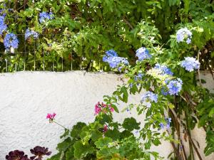 Summer Garden Studio - village location