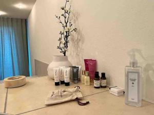 Sonnige Loft mit Terrasse, Ladestation für Elektrofahrzeuge