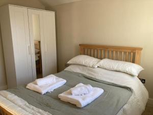 In the heart of the new forest