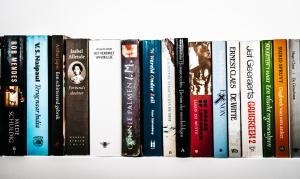 MOLO house - cosy house with sunny garden and bbq in silent surroundings - near the BEACH - ideal for families and quiet groups - 15 km from BRUGES