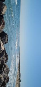 Appartement Cap dAgde Plage du Mole