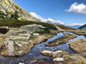 Appartements Le calme, le confort, la nature, skis aux pieds, a 15 kilometres de Chamonix : photos des chambres