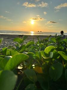 ROOM COLIBRÍ - La Casa de Eros
