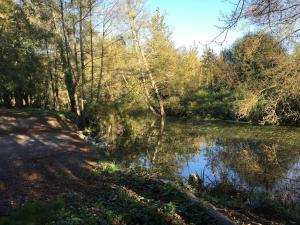 Maisons de vacances Gite la Petite Balade : photos des chambres