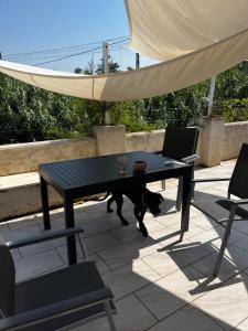 Sejours chez l'habitant LAubergerie de Lastours : Chambre Double - Vue sur Jardin