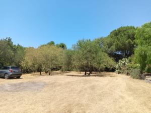 Appartamento Verdina