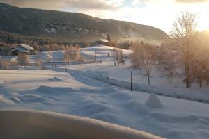 Les Chamois