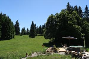 Maisons de vacances La Ferme du Lanchet : photos des chambres