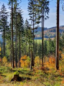 Księżycowa Dolina