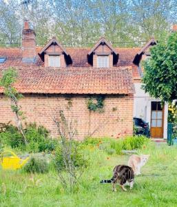 Maisons de vacances Maison 5 chambres a Lamotte, entre canal et centre equestre : photos des chambres