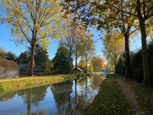 Maisons de vacances Maison 5 chambres a Lamotte, entre canal et centre equestre : photos des chambres