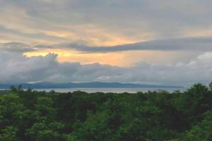 CasaBravaVentura Jungle Ecofarm