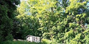 Tentes de luxe Gite de groupe nature proche Nancy : photos des chambres