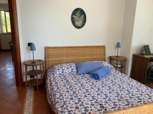 Villa Delfino Blu con accesso diretto al mare dalla scogliera e privacy impagabile.