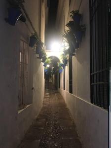 Apartamento El Templo