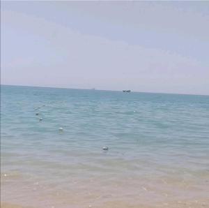 شالية بقرية بالميرا