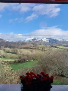 Apartamentos en Baztan HIRU KABI, BIGA