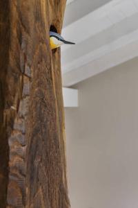 Apartamentos en Baztan HIRU KABI, BIGA